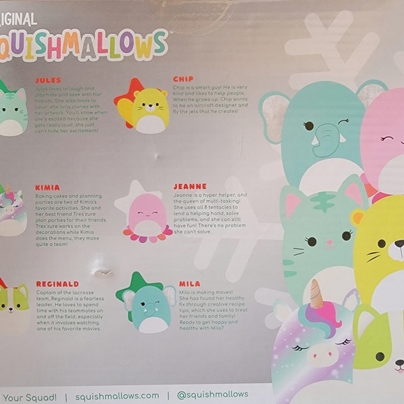 NIB Squishmallows 2021 Classic Holiday + Bright Squad (12pc 2x Boxes) - Picture 4 of 4